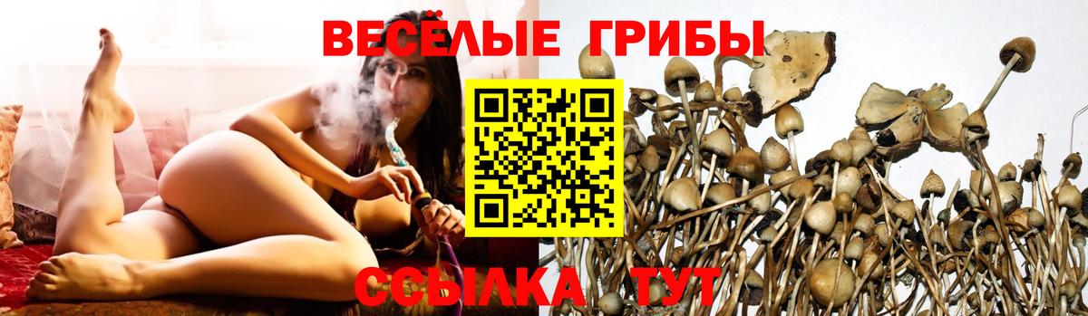 Галлюциногенные грибы ЛСД Будённовск