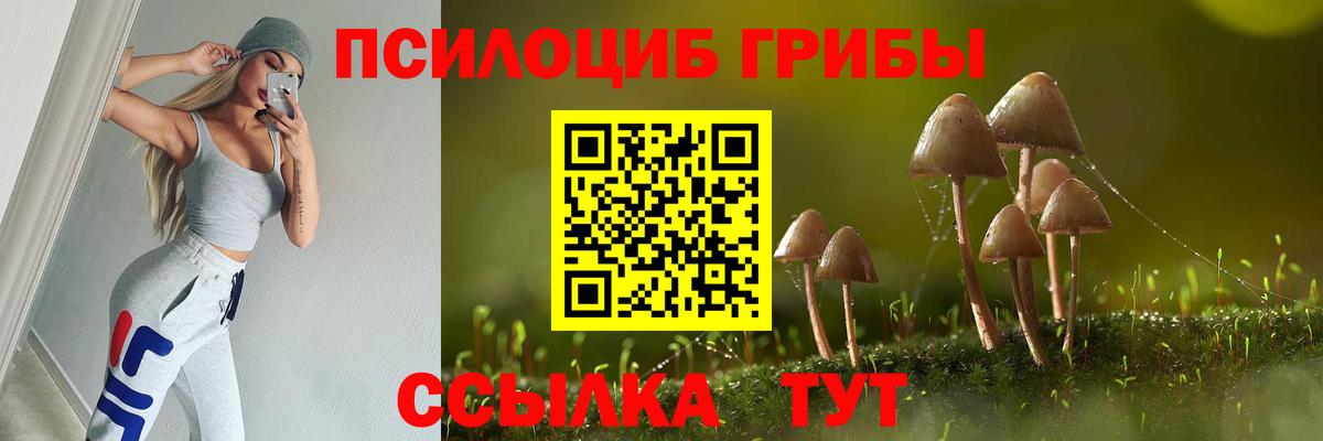 Псилоцибиновые грибы Psilocybine cubensis  Вход с VPN  Будённовск 